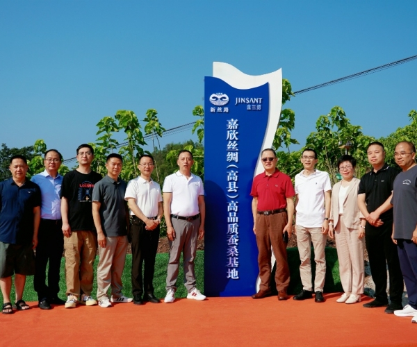 豪门国际官网丝绸（高县）高品质蚕；；；；；；卣浇遗疲